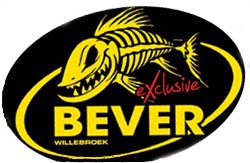 Afbeelding invoegen